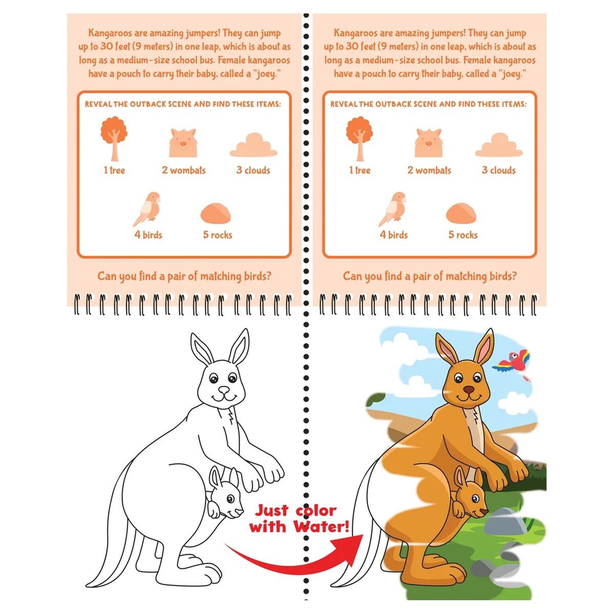 Color With Water - Wild Animals