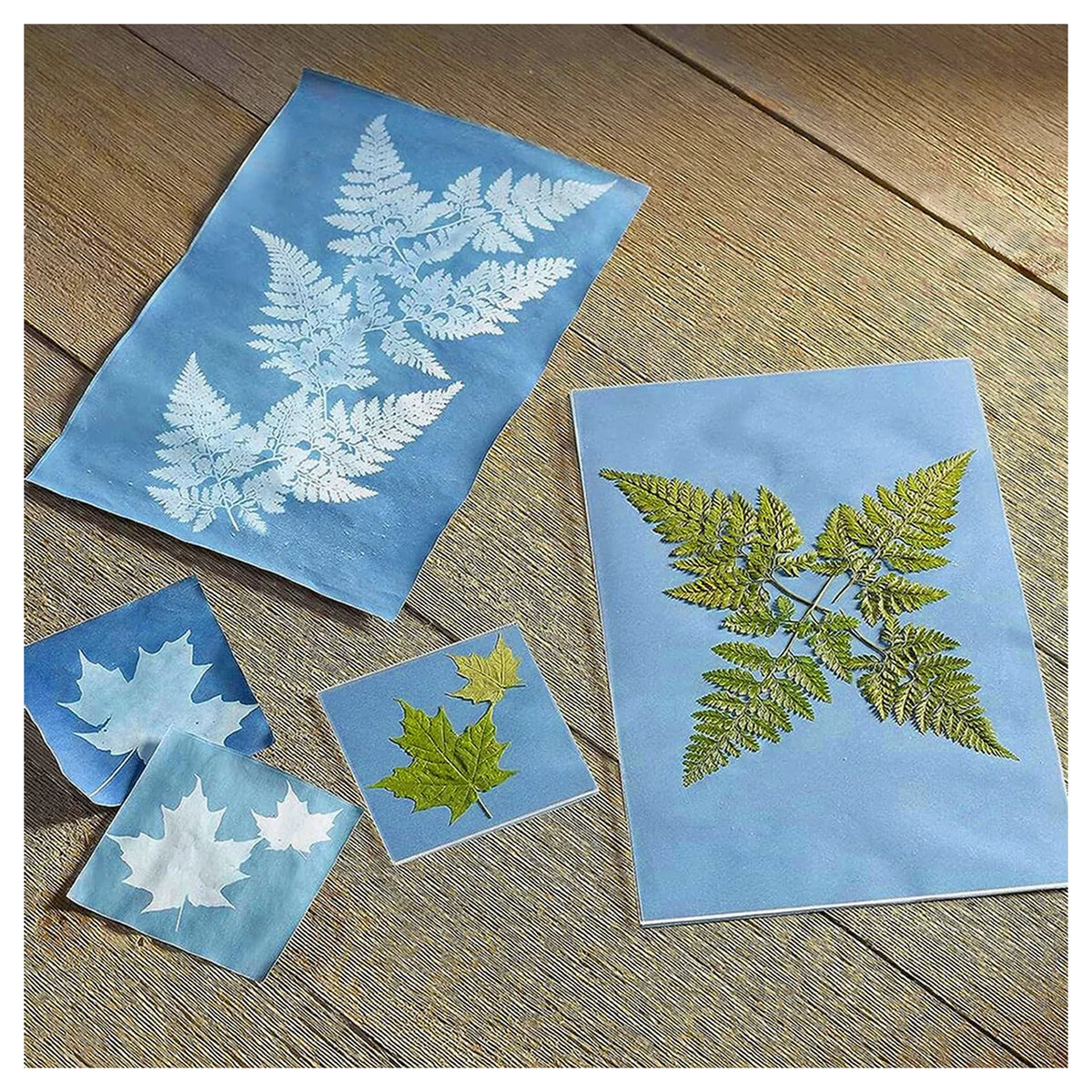 Sunprint Kit