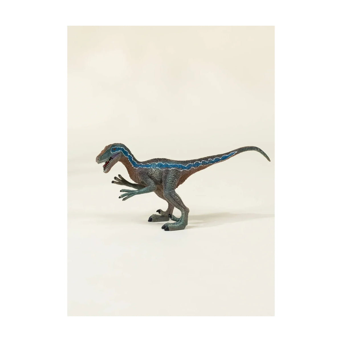Velociraptor Dinosaur in a Collectible Box