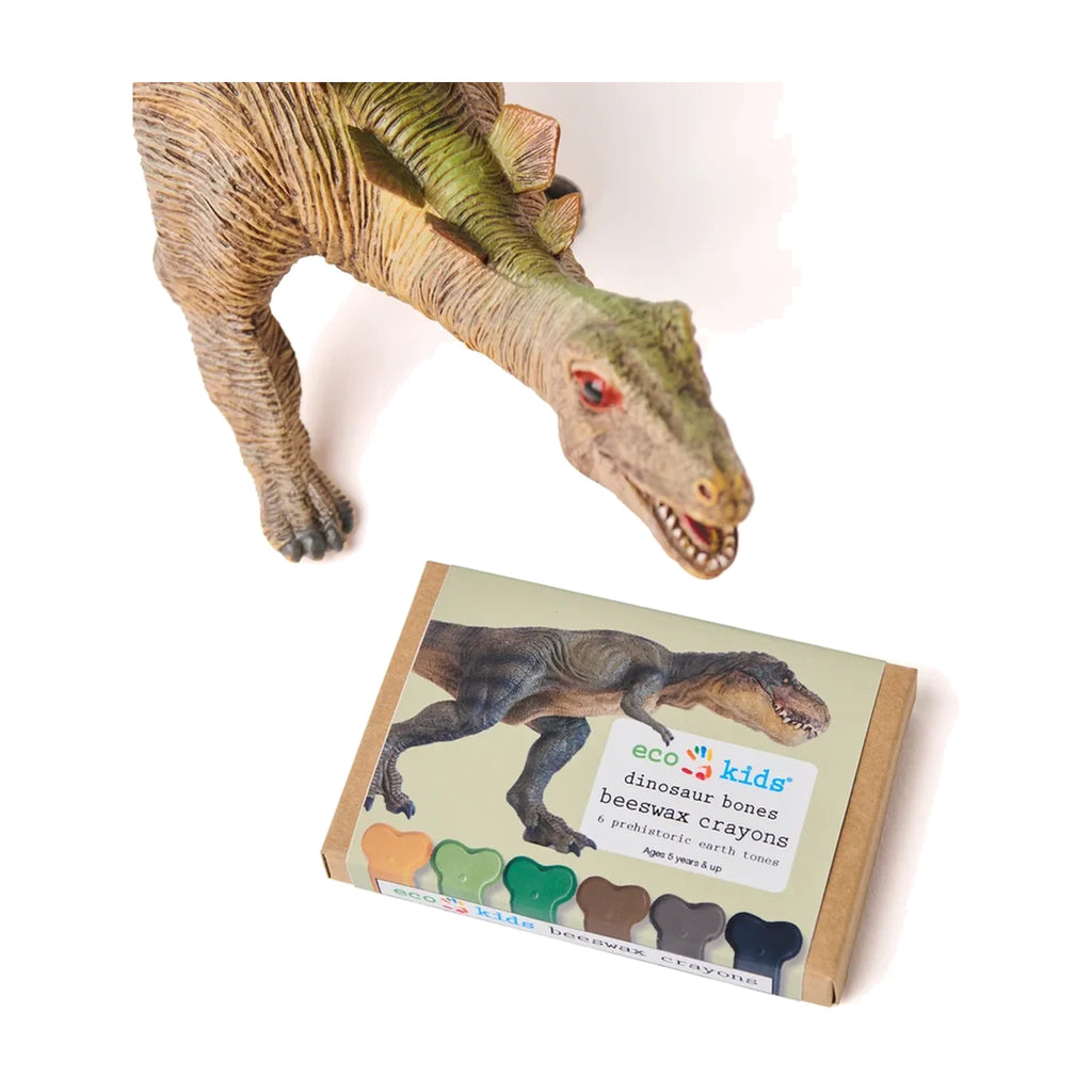 Beeswax Crayons - Dinosaur Bone - 6 Eco-Friendly Colors