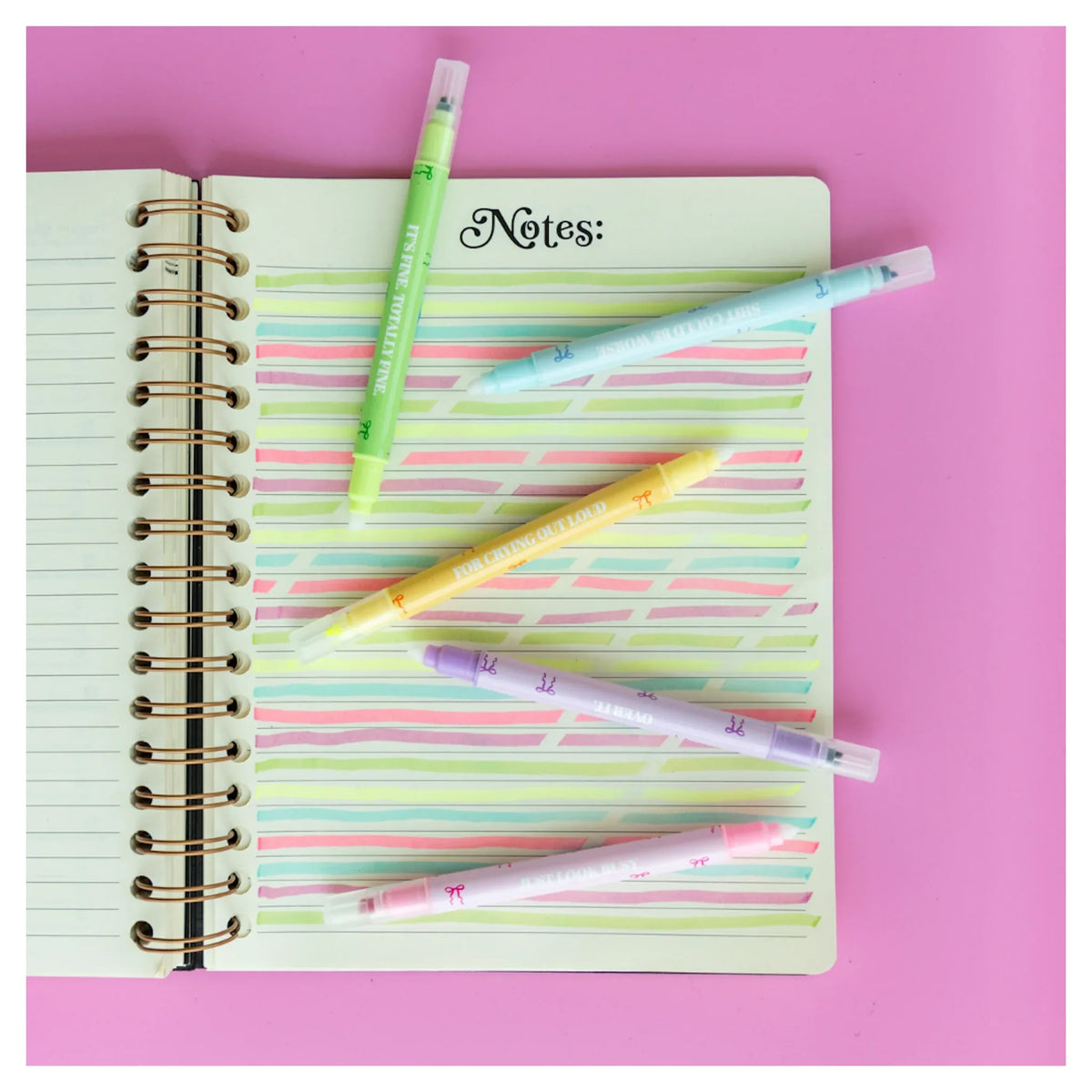 Book Club Erasable Highlighter Set