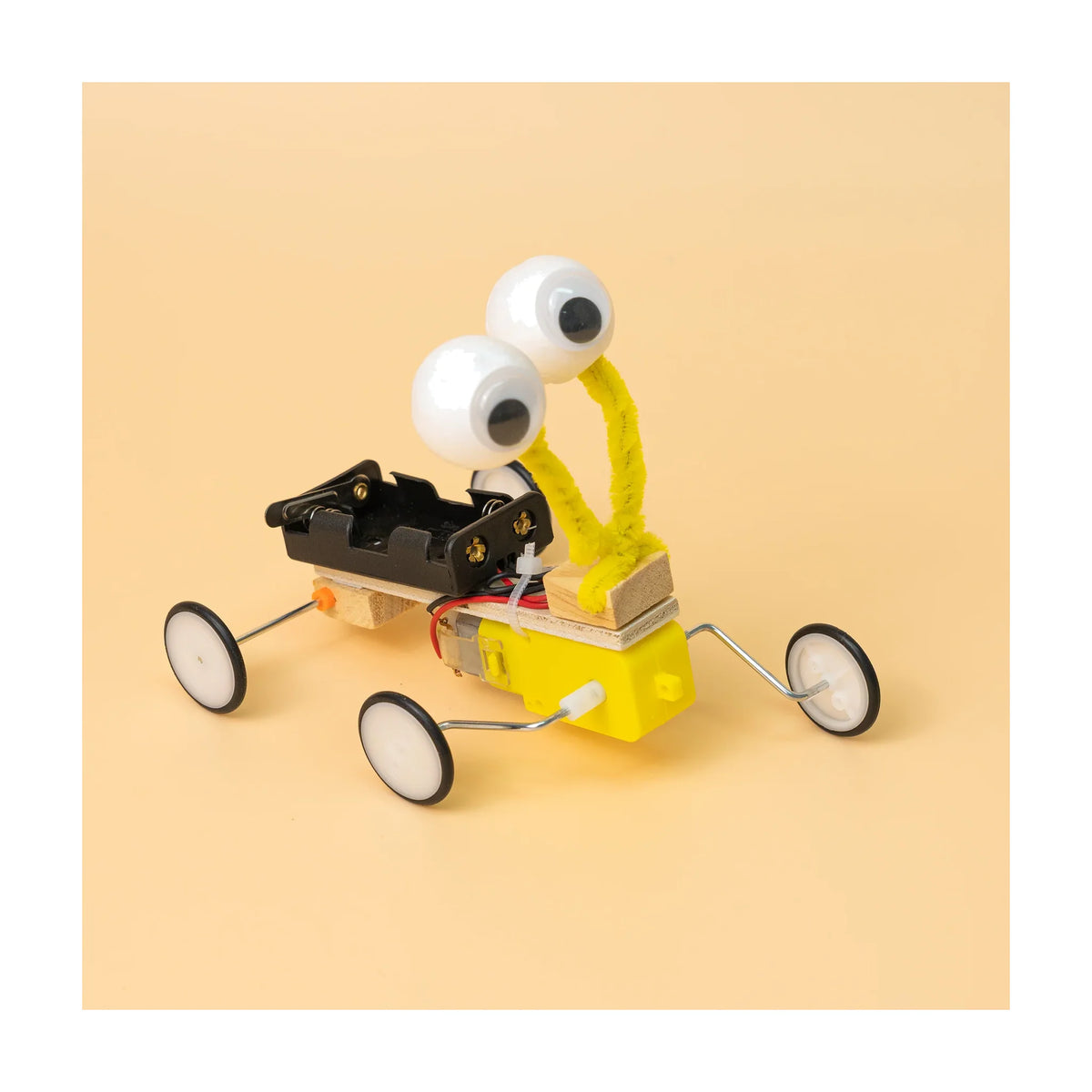 Bug Robot DIY Kit, Educational STEM Toy for Kids