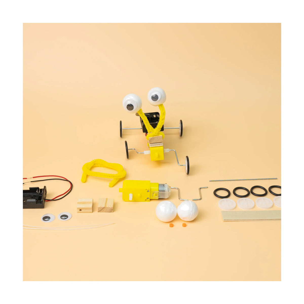 Bug Robot DIY Kit, Educational STEM Toy for Kids