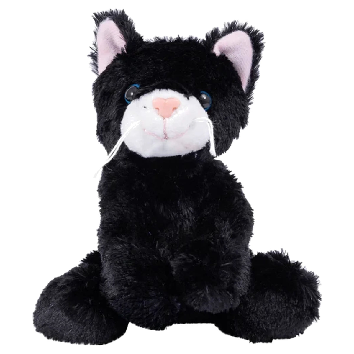 Catsy Kitty