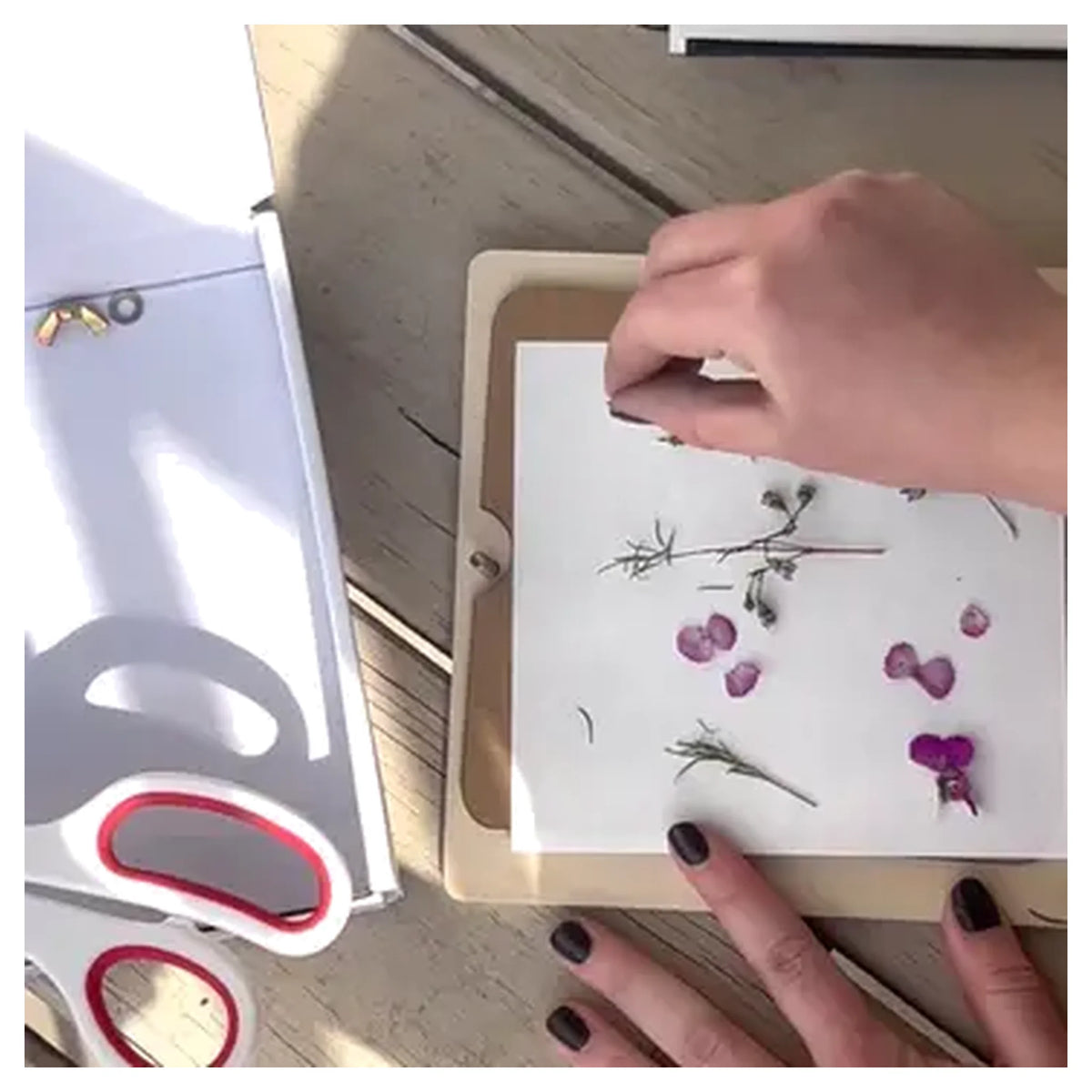 Flower Press - Simple & Effective DIY - Includes All Parts
