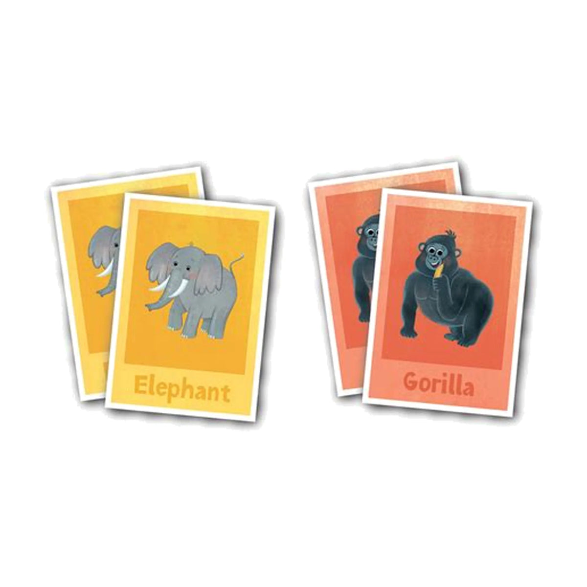 Match Up: Animals At the Zoo