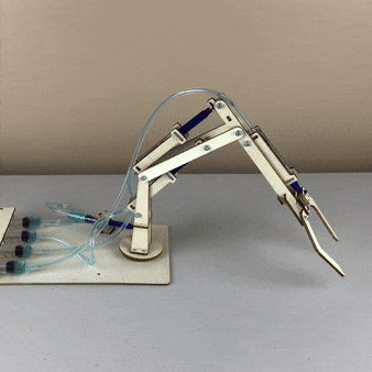 Hydraulic Robotic Arm DIY Kit, Educational STEM Toy for Kids