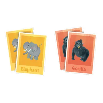 Match Up: Animals At the Zoo