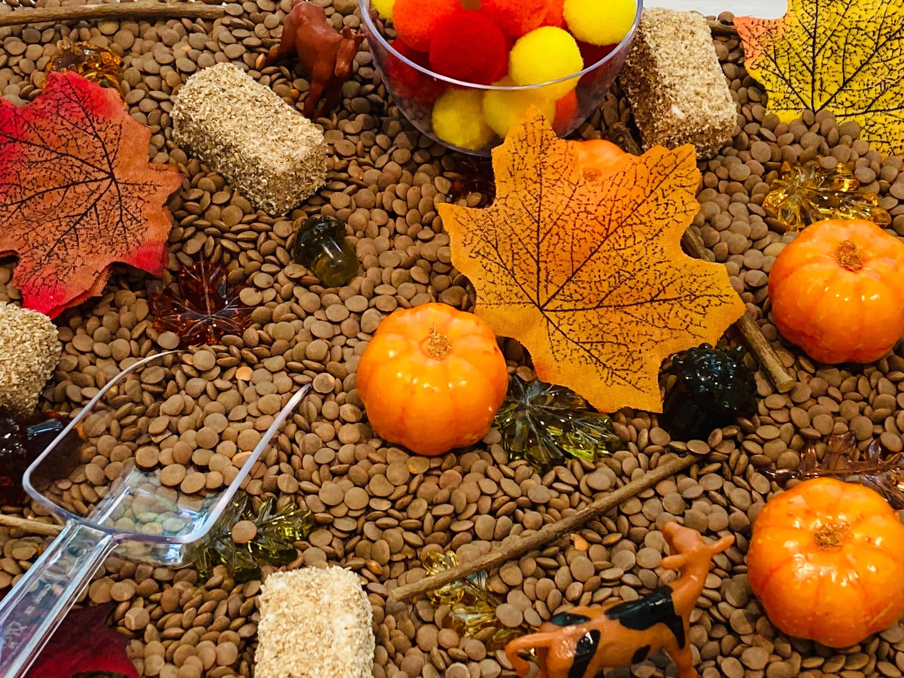 Fall Pumpkin Patch Sensory Bin, Sensory Bins for Kids, Fall