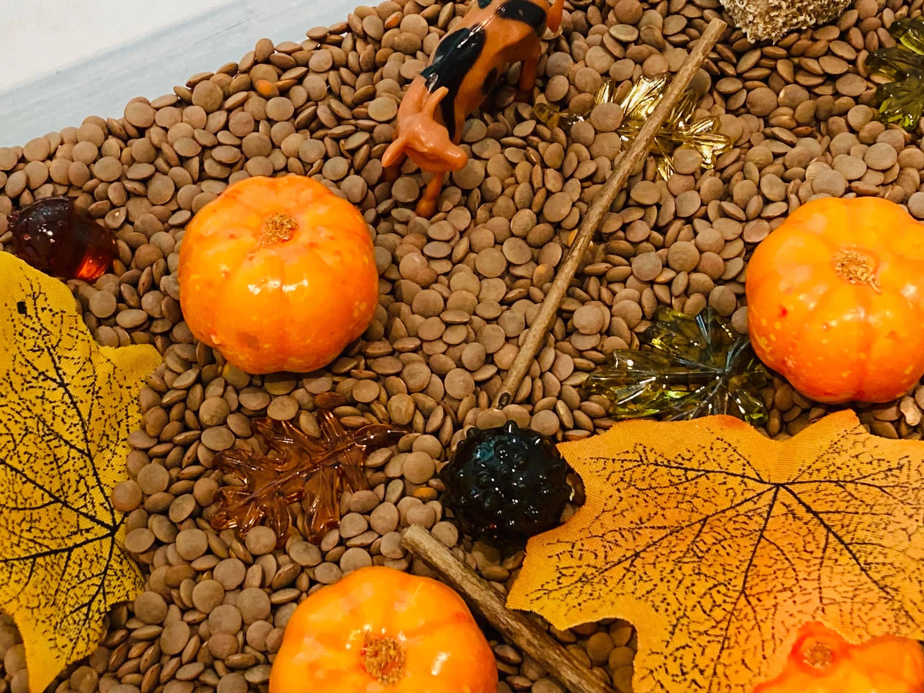 Fall Pumpkin Patch Sensory Bin, Sensory Bins for Kids, Fall