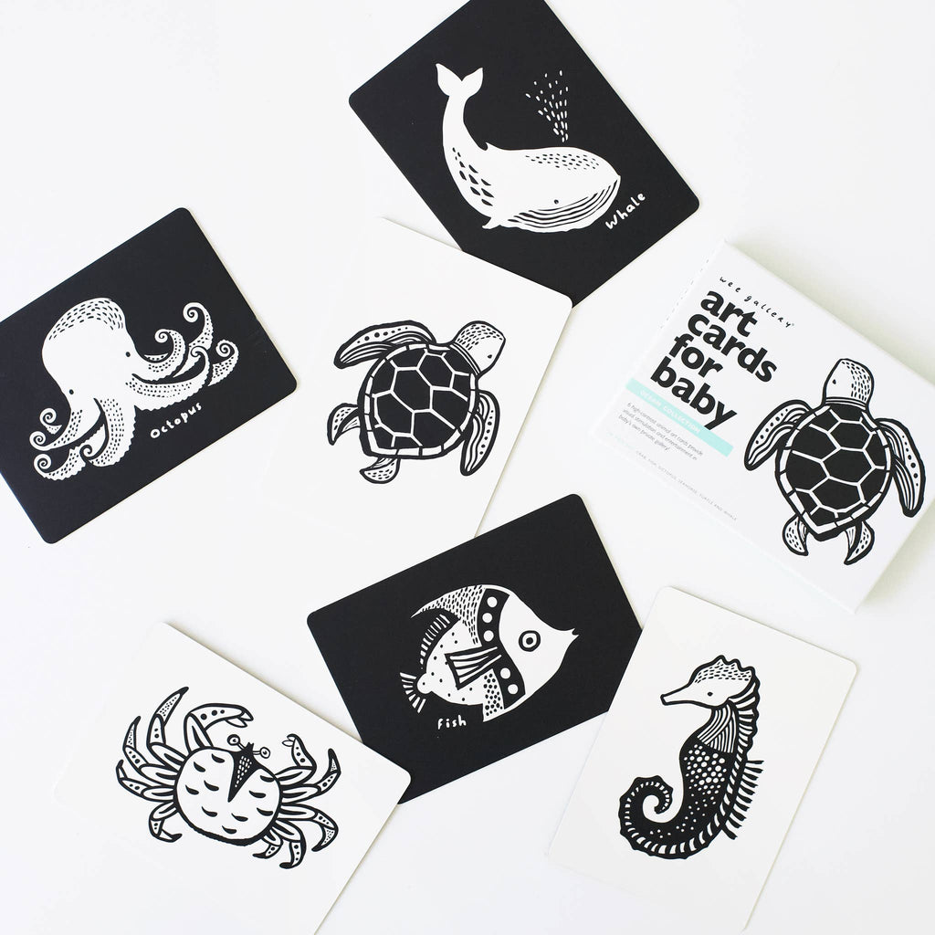 Art Cards for Baby - Ocean Animals