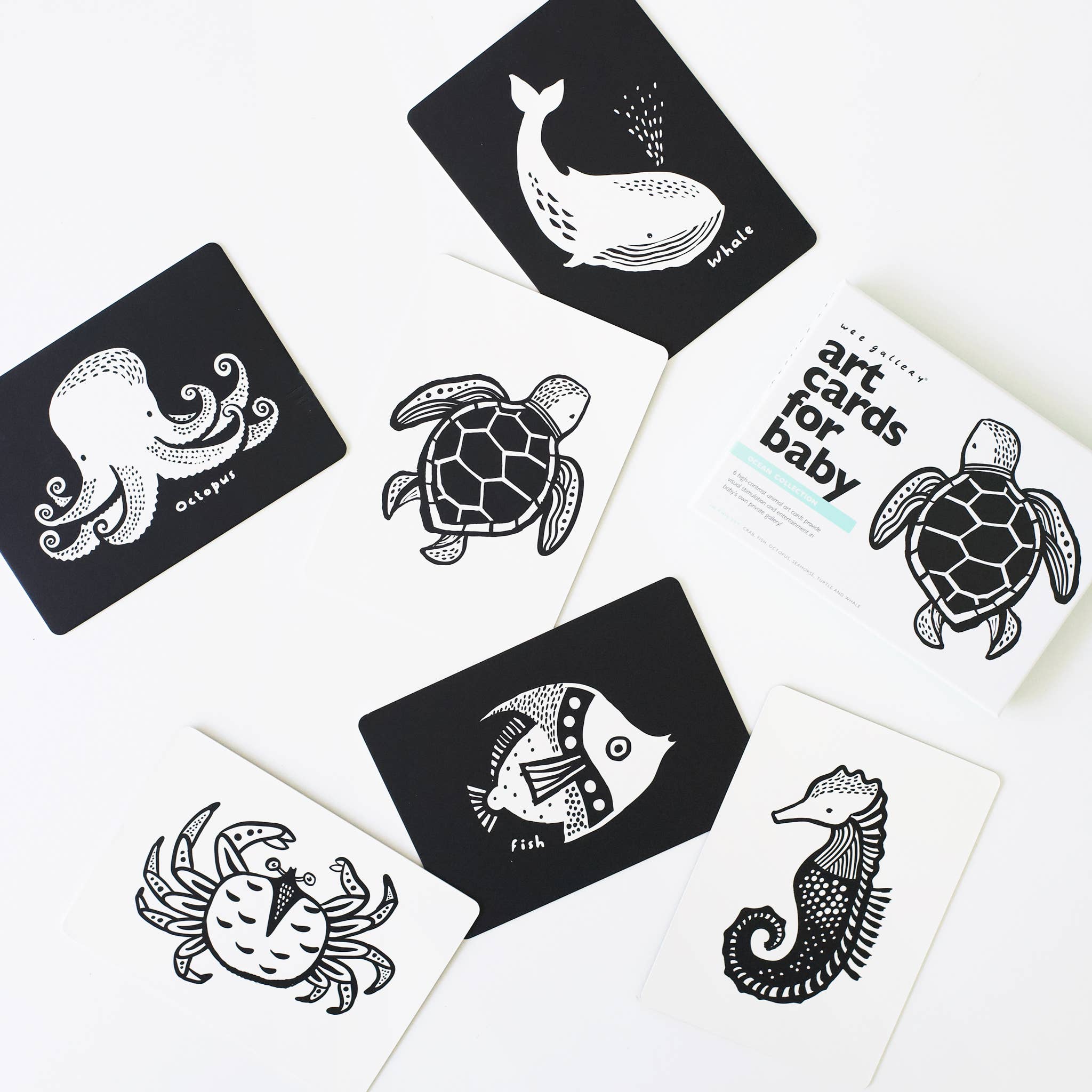 Art Cards for Baby - Ocean Animals