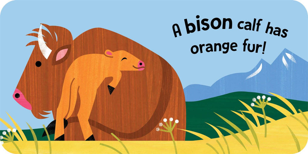 Baby Block Books: Baby Animals
