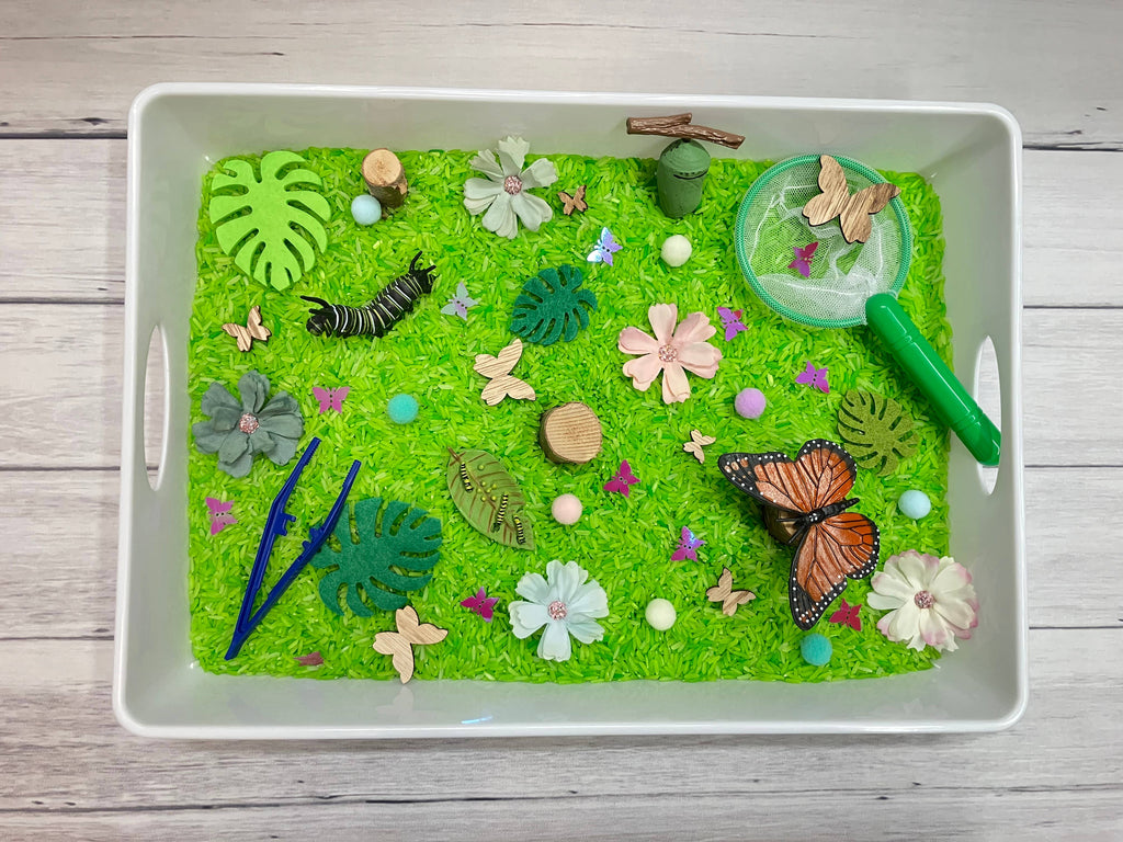Butterfly Life Cycle Sensory Bin, Sensory Bins for Kids