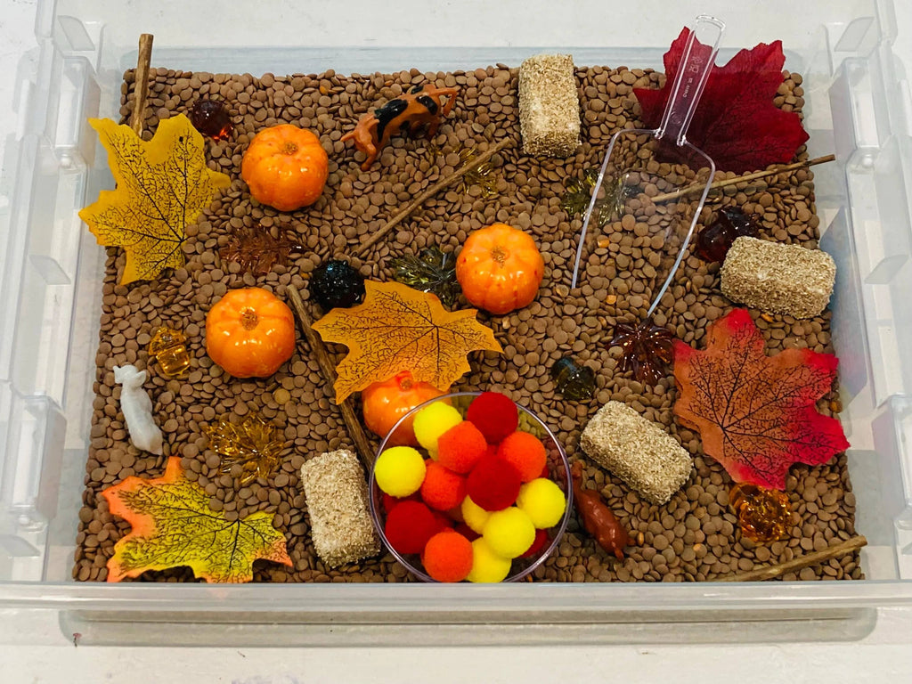 Fall Pumpkin Patch Sensory Bin, Sensory Bins for Kids, Fall