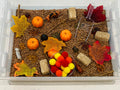 Fall Pumpkin Patch Sensory Bin, Sensory Bins for Kids, Fall