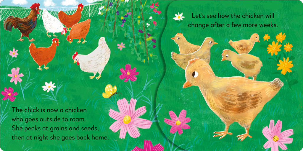 Popup Peek Chick