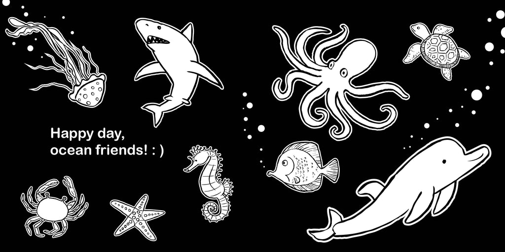 Hello, Ocean Friends