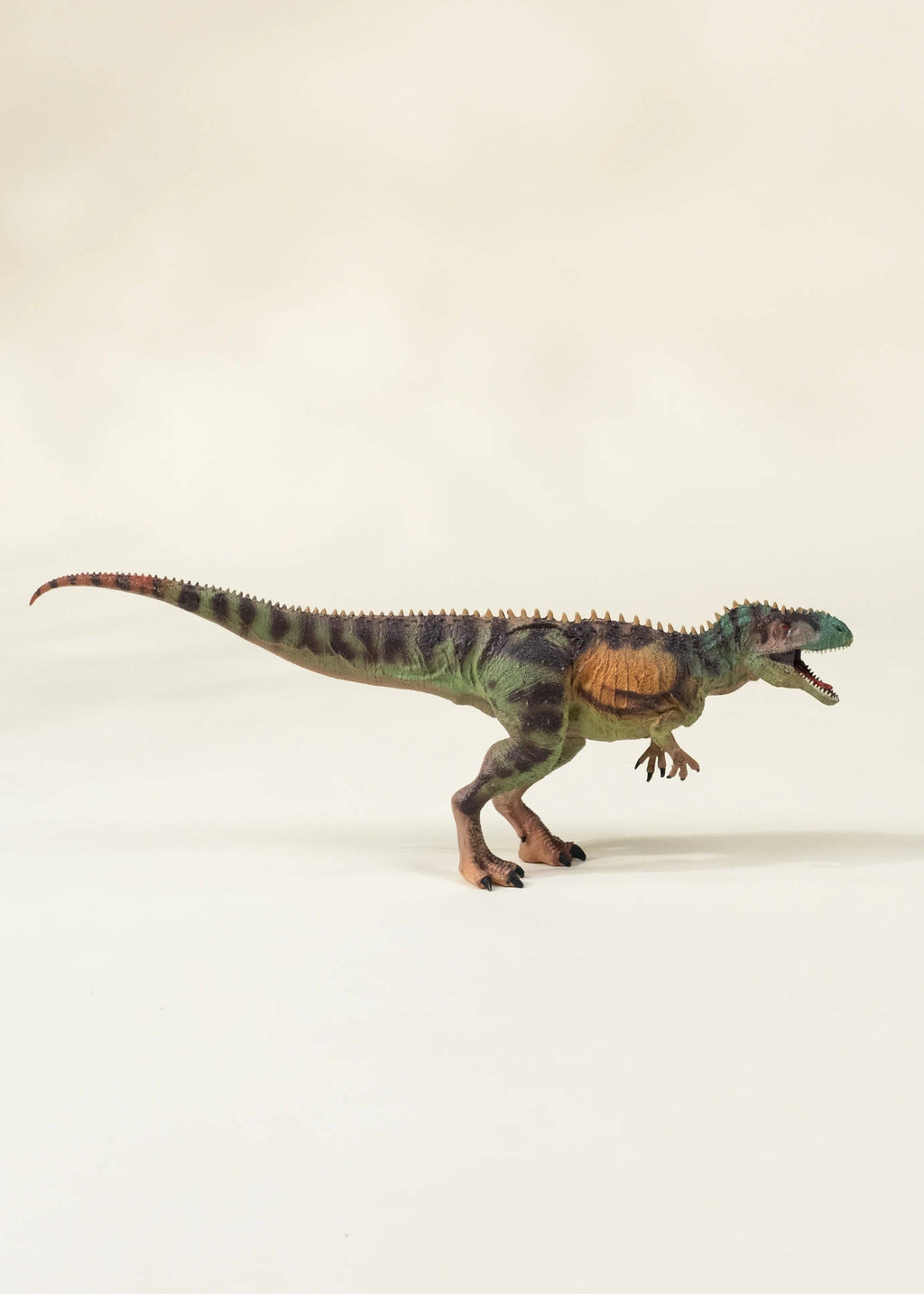Tyrannosaurus Rex Dinosaur in a Collectible Box