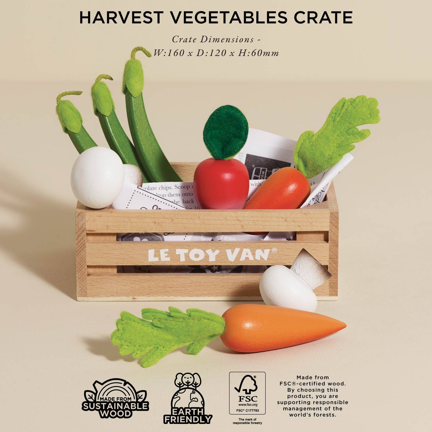 Assorted Fruit and Vegetable Wood Toy For Kids