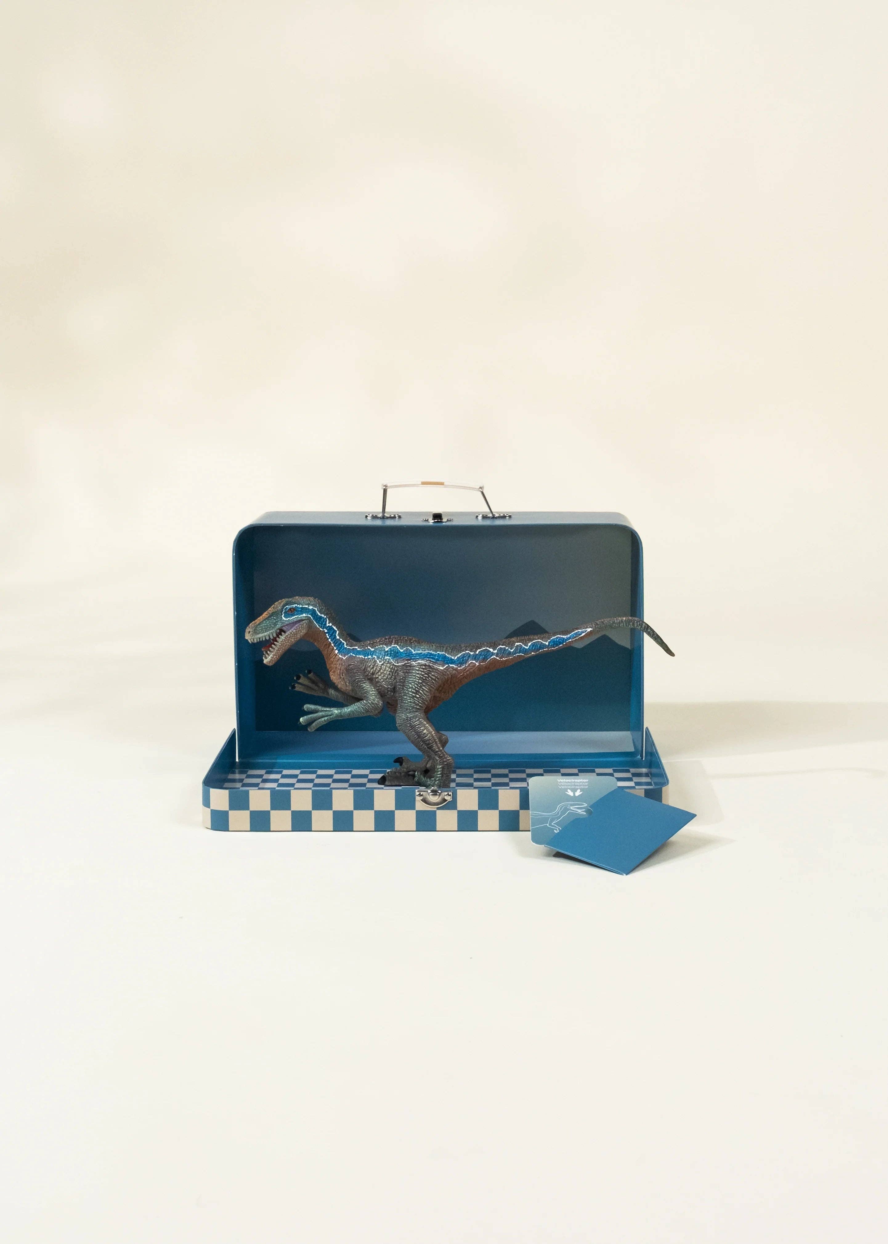 Velociraptor Dinosaur in a Collectible Box by Coco Village ZYLO