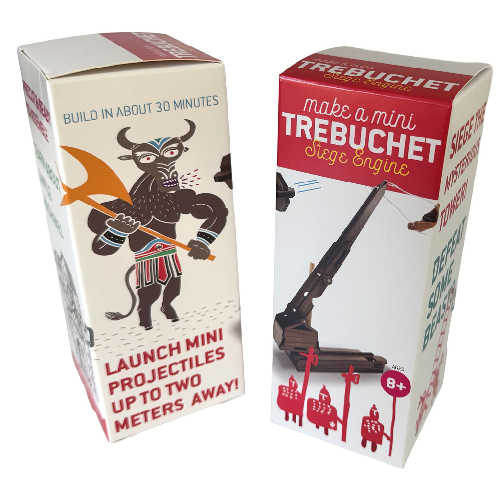 Mini Trebuchet : Wooden Engineering Model Building Kit | Trebuchet science project