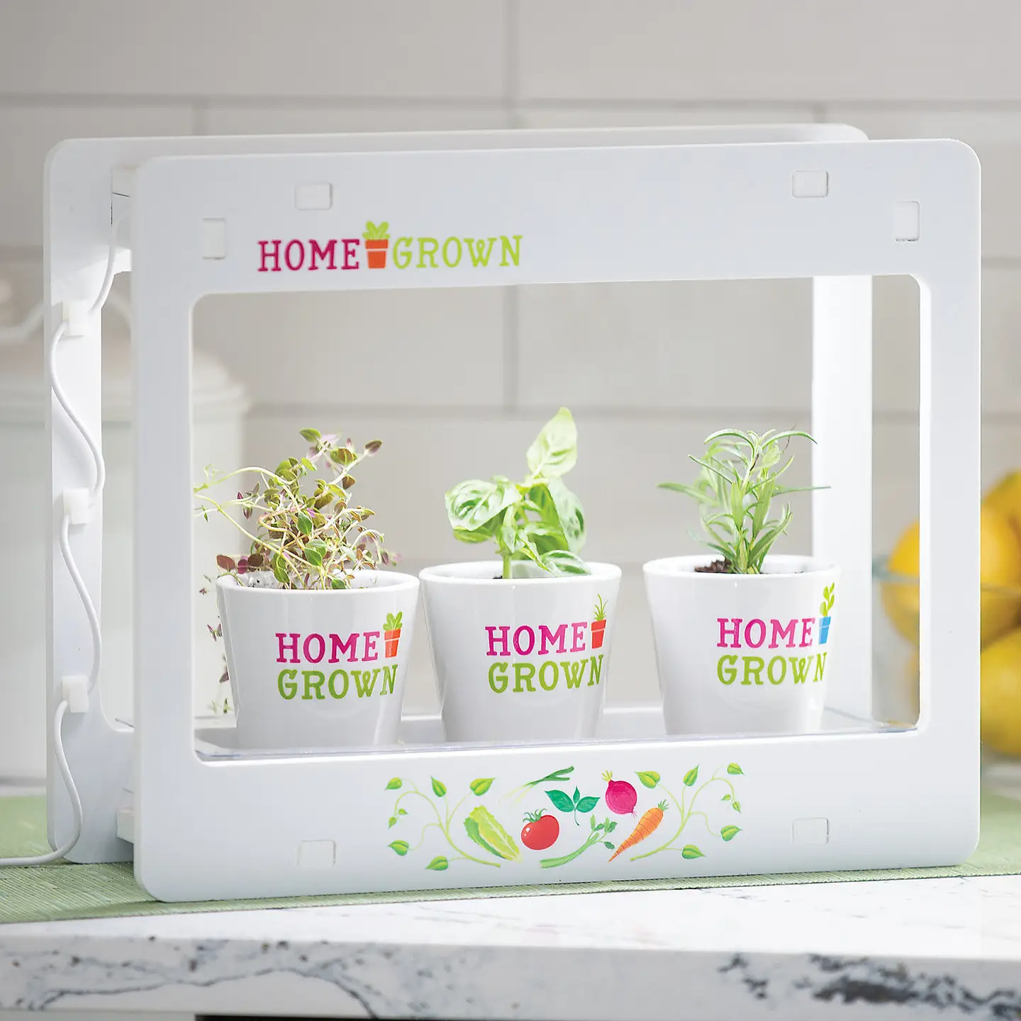 Home Grown: Aero Growing Lamp