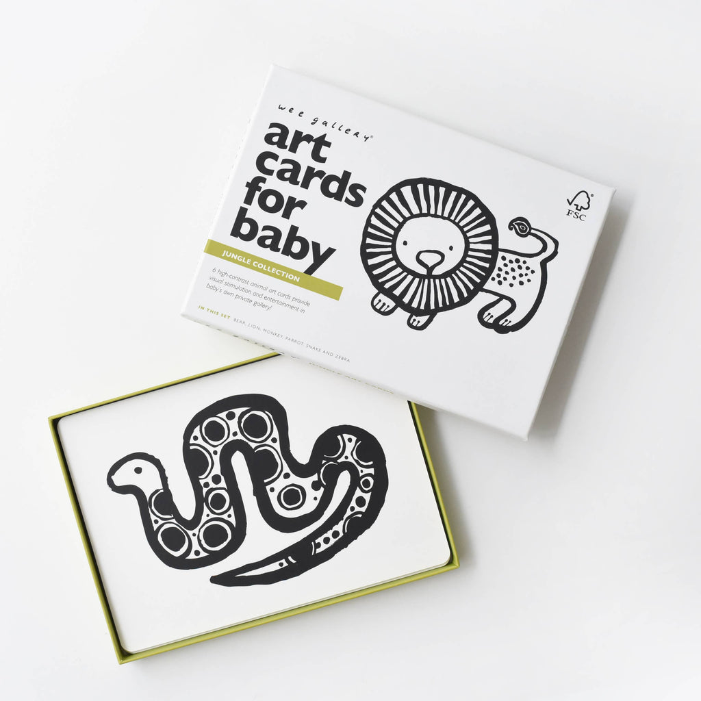 Art Cards for Baby - Jungle Animals