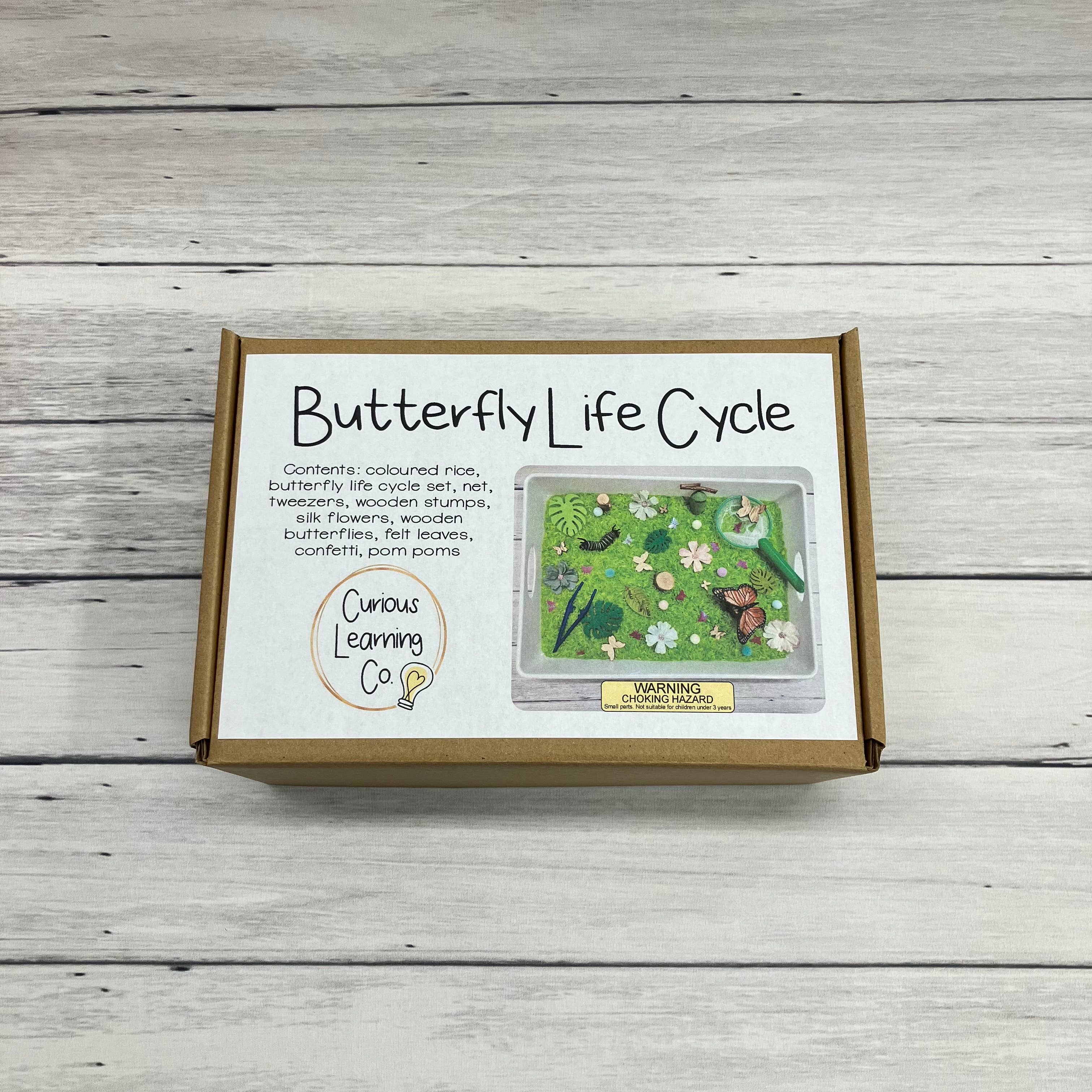 Butterfly Life Cycle Sensory Bin, Sensory Bins for Kids