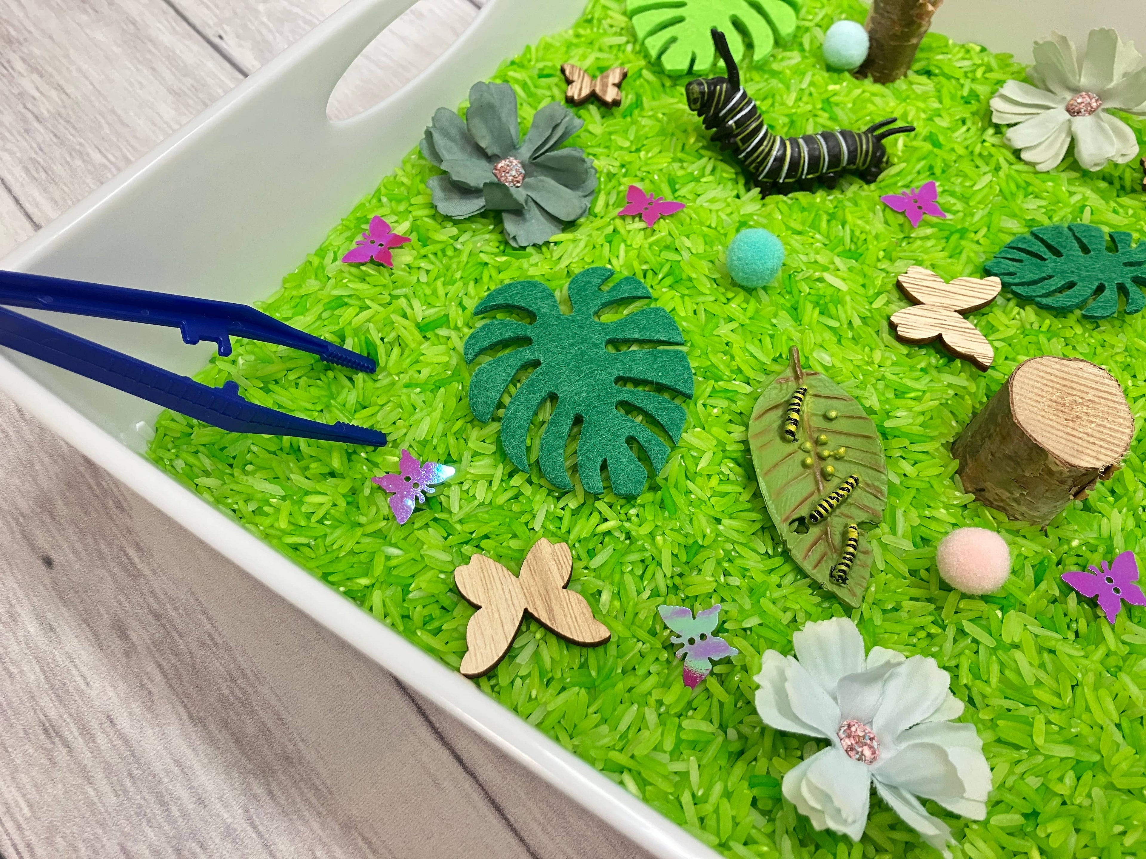 Butterfly Life Cycle Sensory Bin, Sensory Bins for Kids