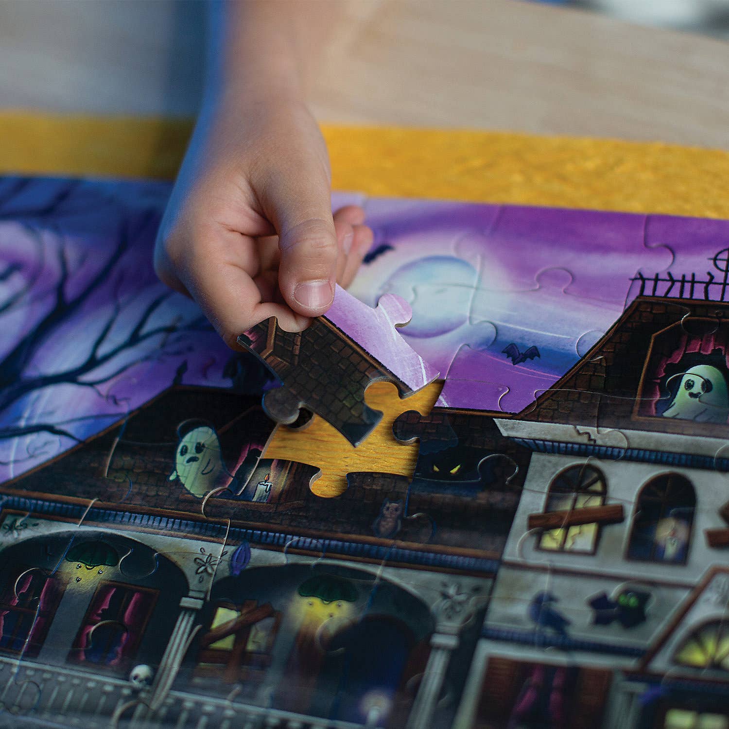 Seek & Find Glow Puzzle: Ghost In The Attic