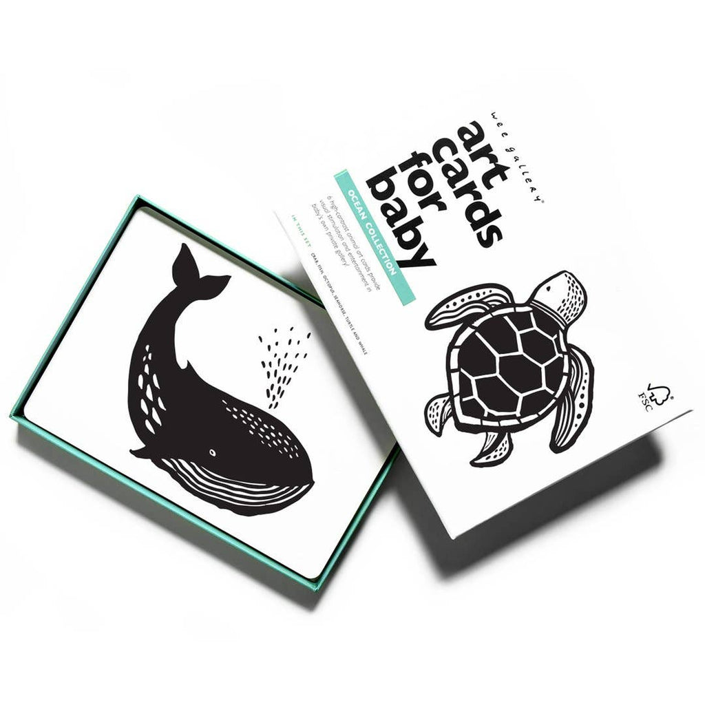 Art Cards for Baby - Ocean Animals
