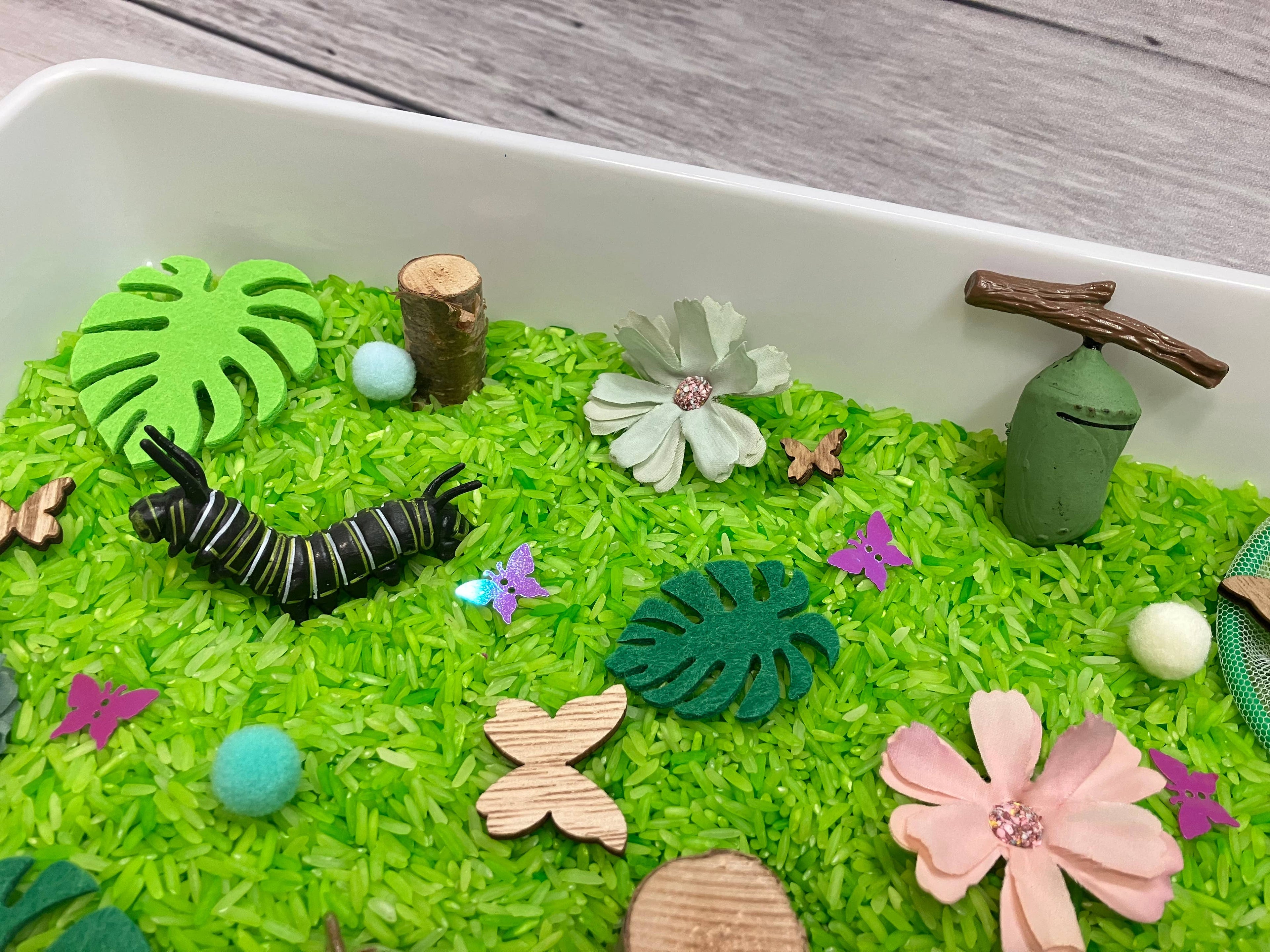 Butterfly Life Cycle Sensory Bin, Sensory Bins for Kids