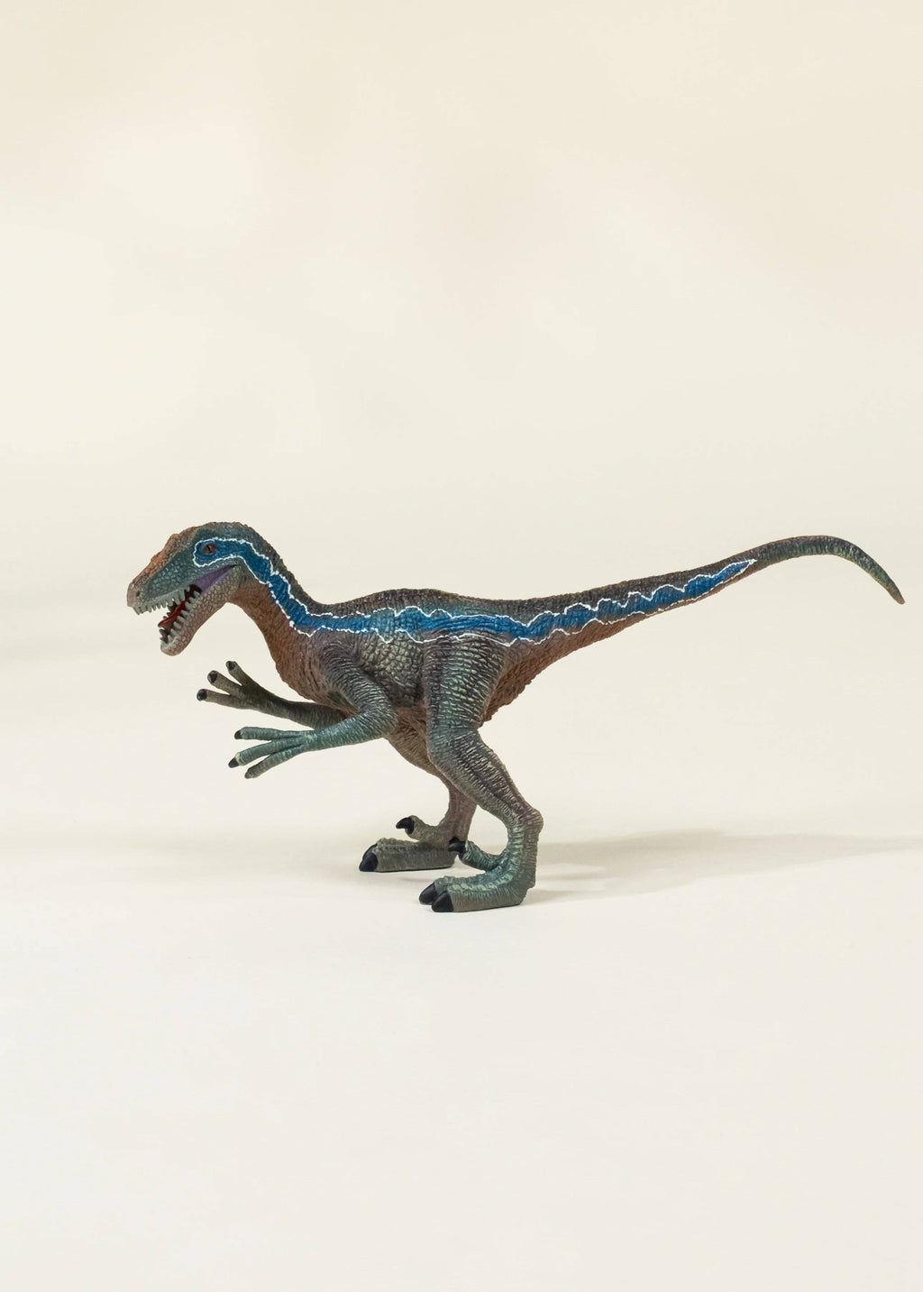 Velociraptor Dinosaur in a Collectible Box by Coco Village ZYLO