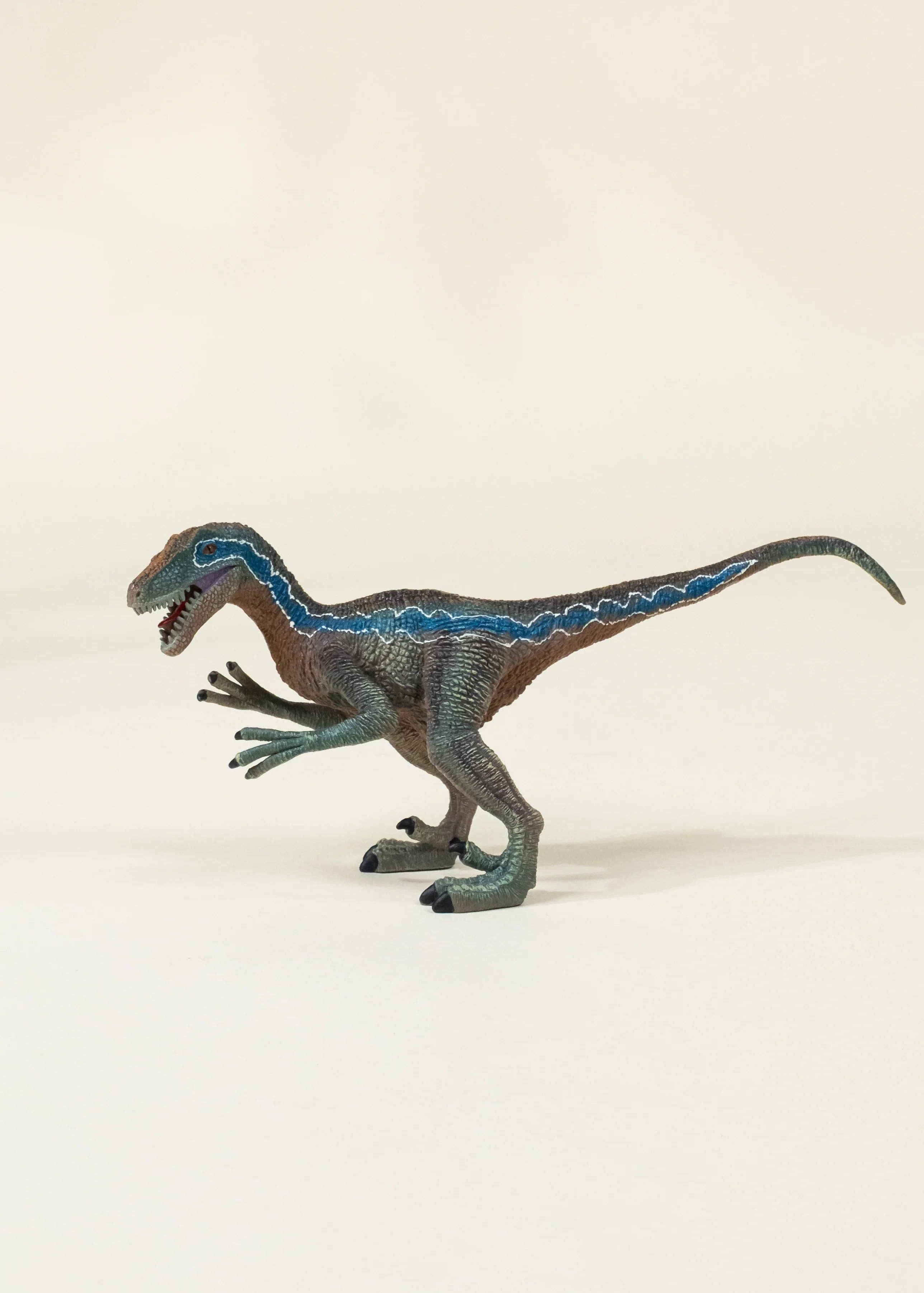 Velociraptor Dinosaur in a Collectible Box by Coco Village ZYLO