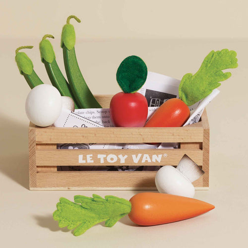 Assorted Fruit and Vegetable Wood Toy For Kids