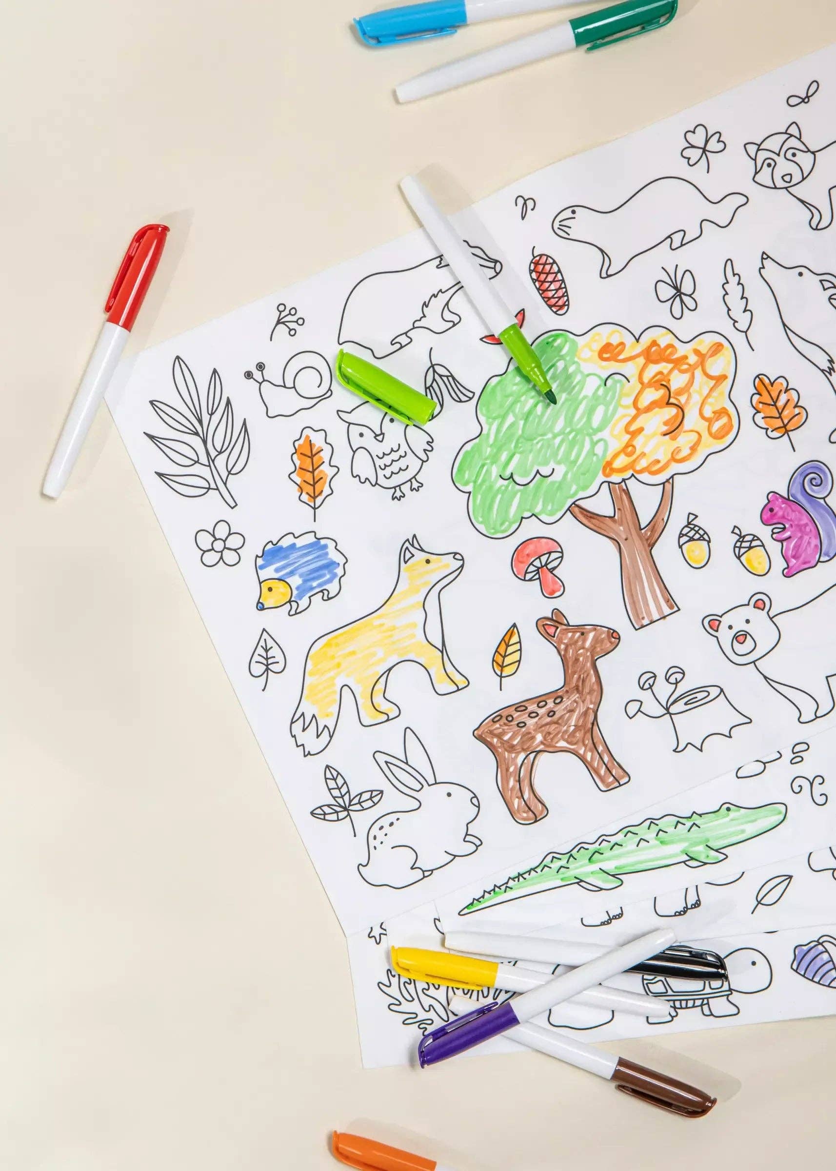 Set of 4 Silicone Washable Coloring Placemats & Markers