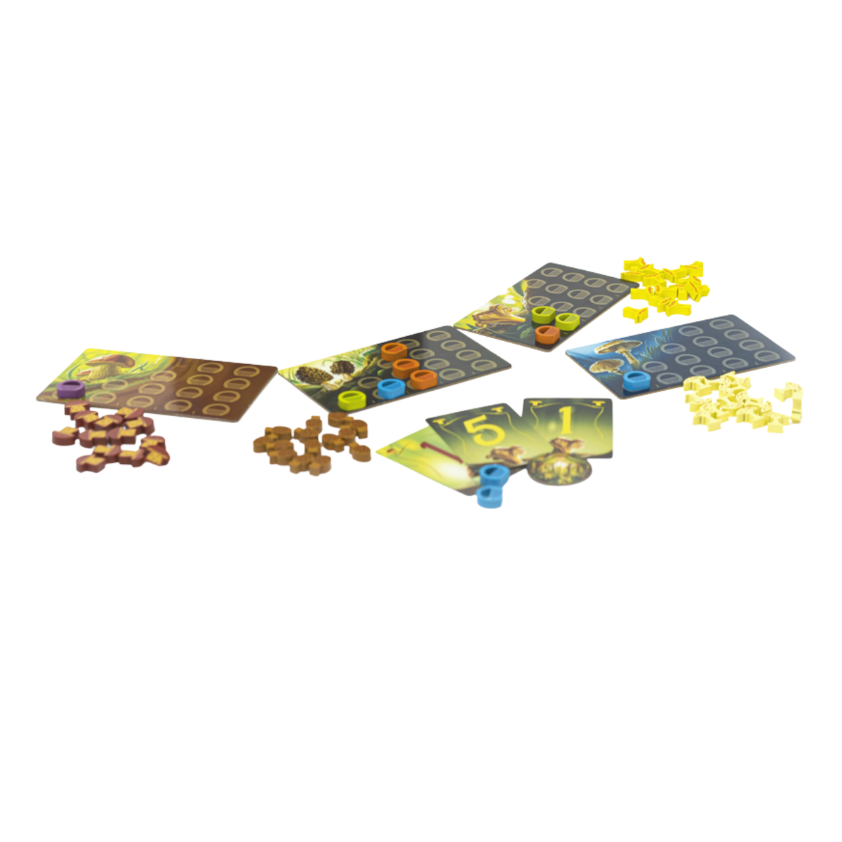 Wonder Woods : The Fantastic Mushroom Hunting Strategy Game