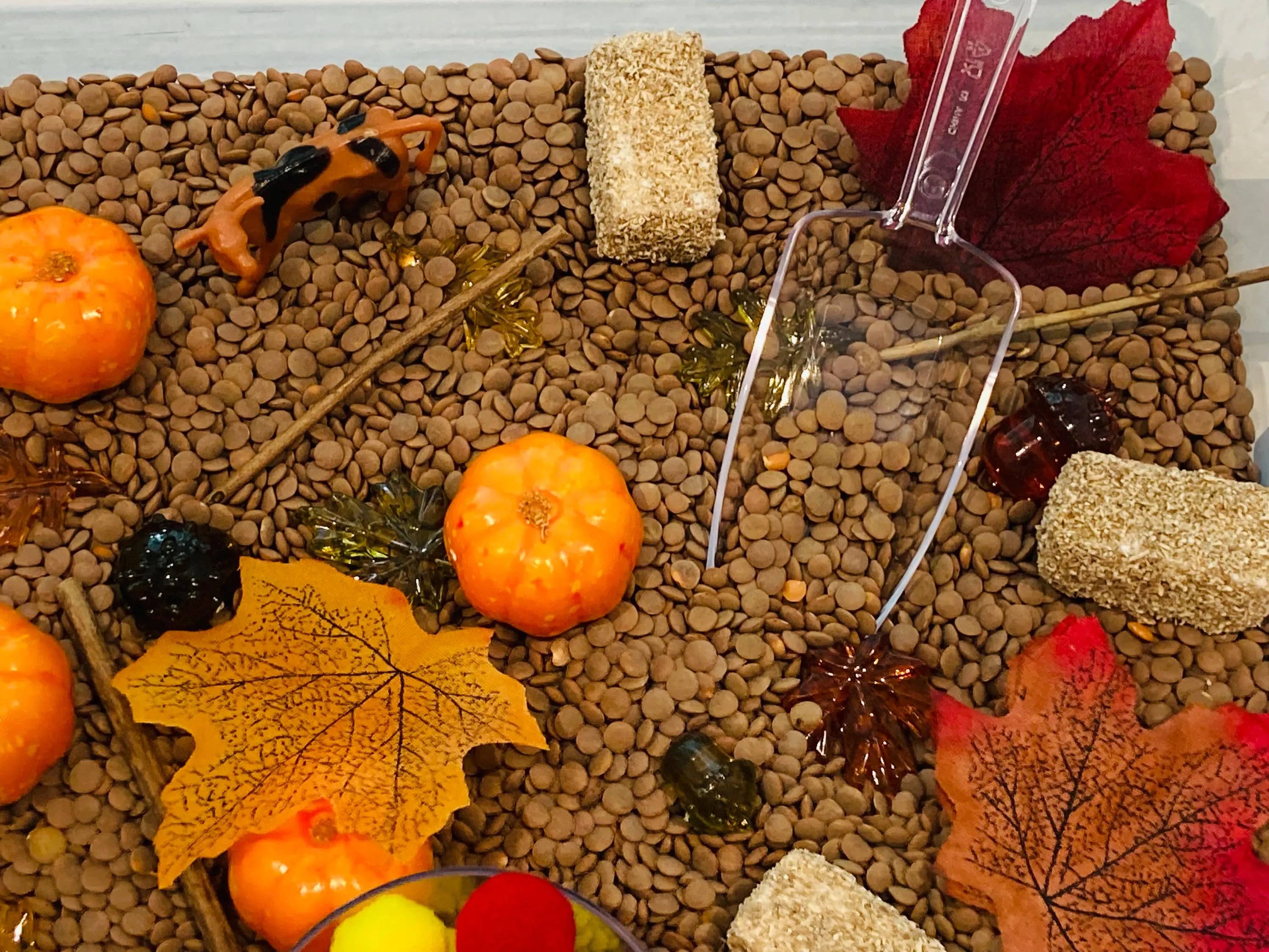 Fall Pumpkin Patch Sensory Bin, Sensory Bins for Kids, Fall