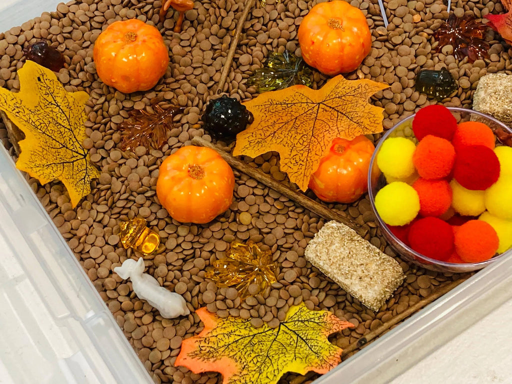 Fall Pumpkin Patch Sensory Bin, Sensory Bins for Kids, Fall