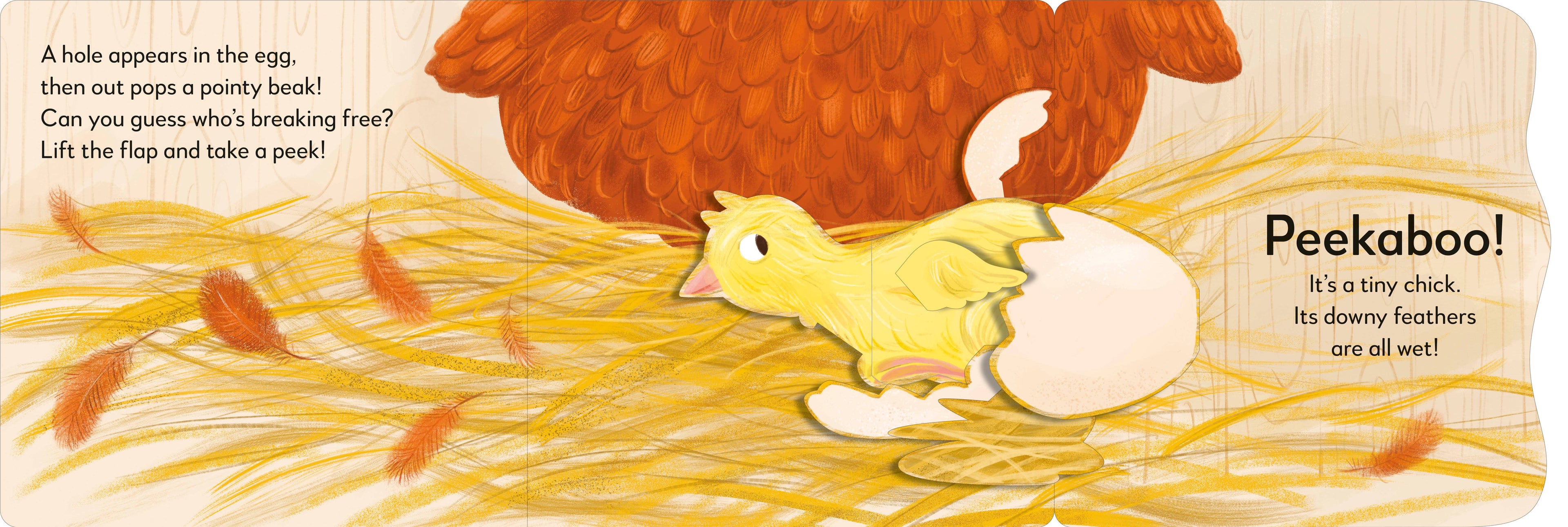 Popup Peek Chick