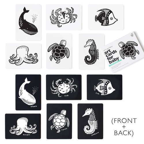 Art Cards for Baby - Ocean Animals