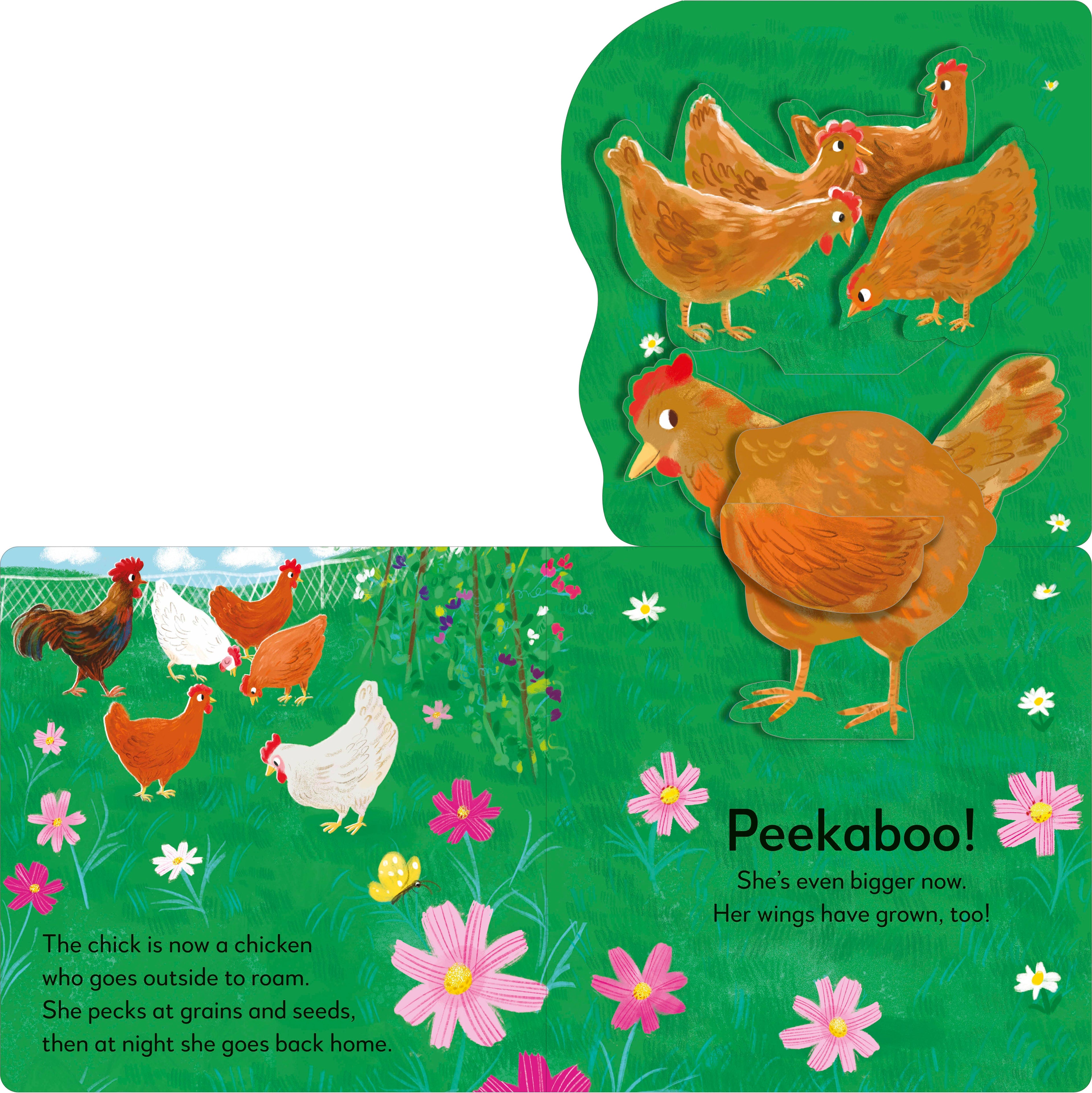 Popup Peek Chick