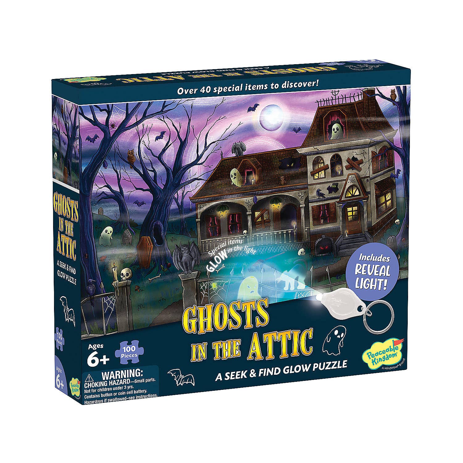 Seek & Find Glow Puzzle: Ghost In The Attic