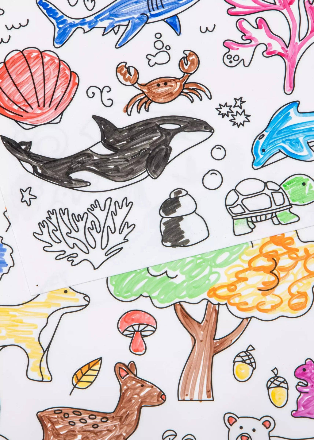 Set of 4 Silicone Washable Coloring Placemats & Markers