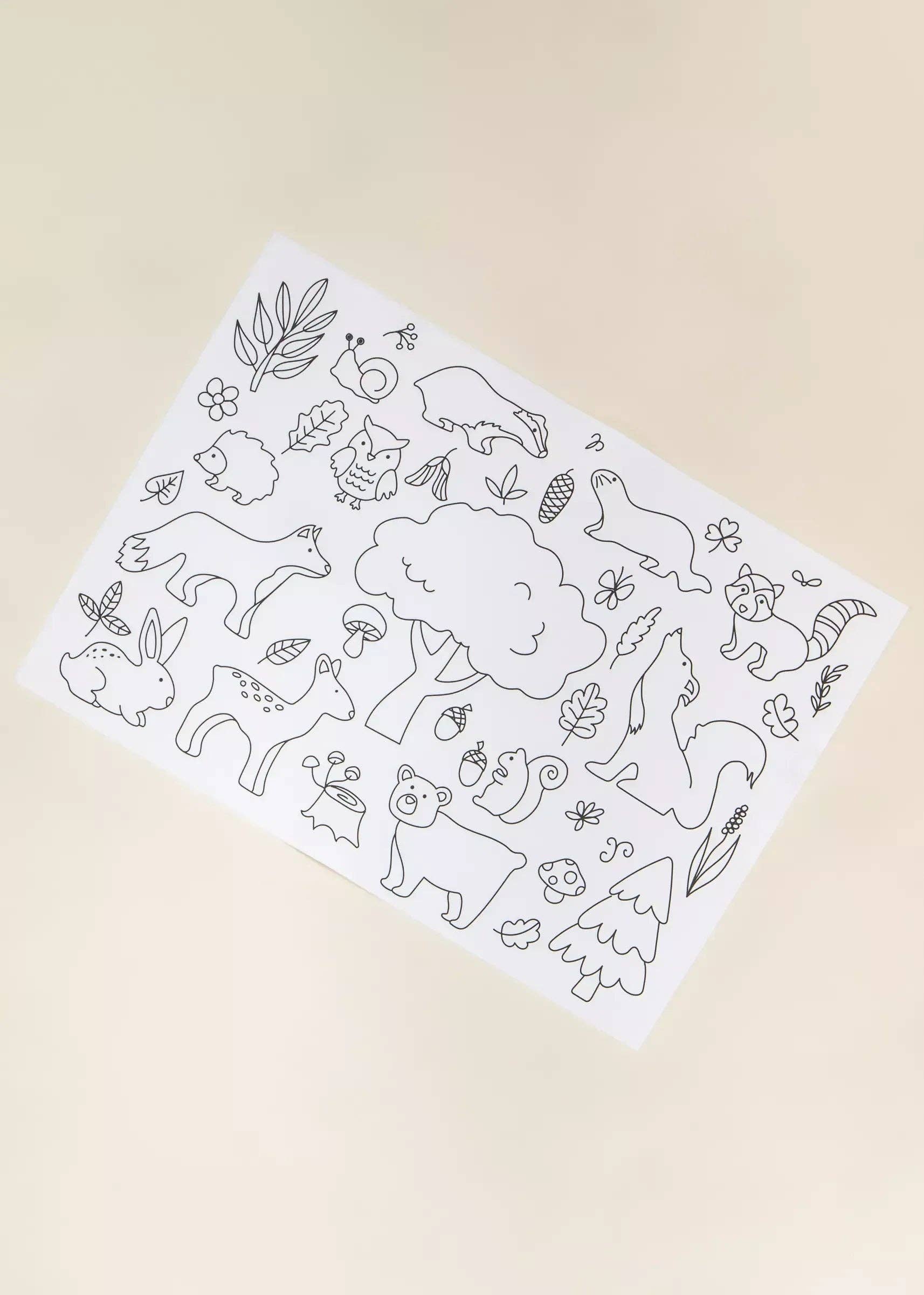 Set of 4 Silicone Washable Coloring Placemats & Markers