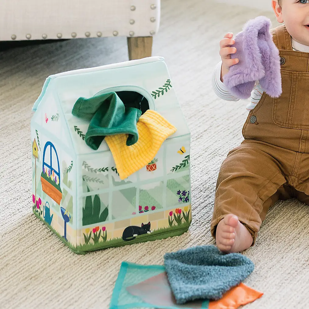 Ss Sensory Peek & Pull Tissue Box