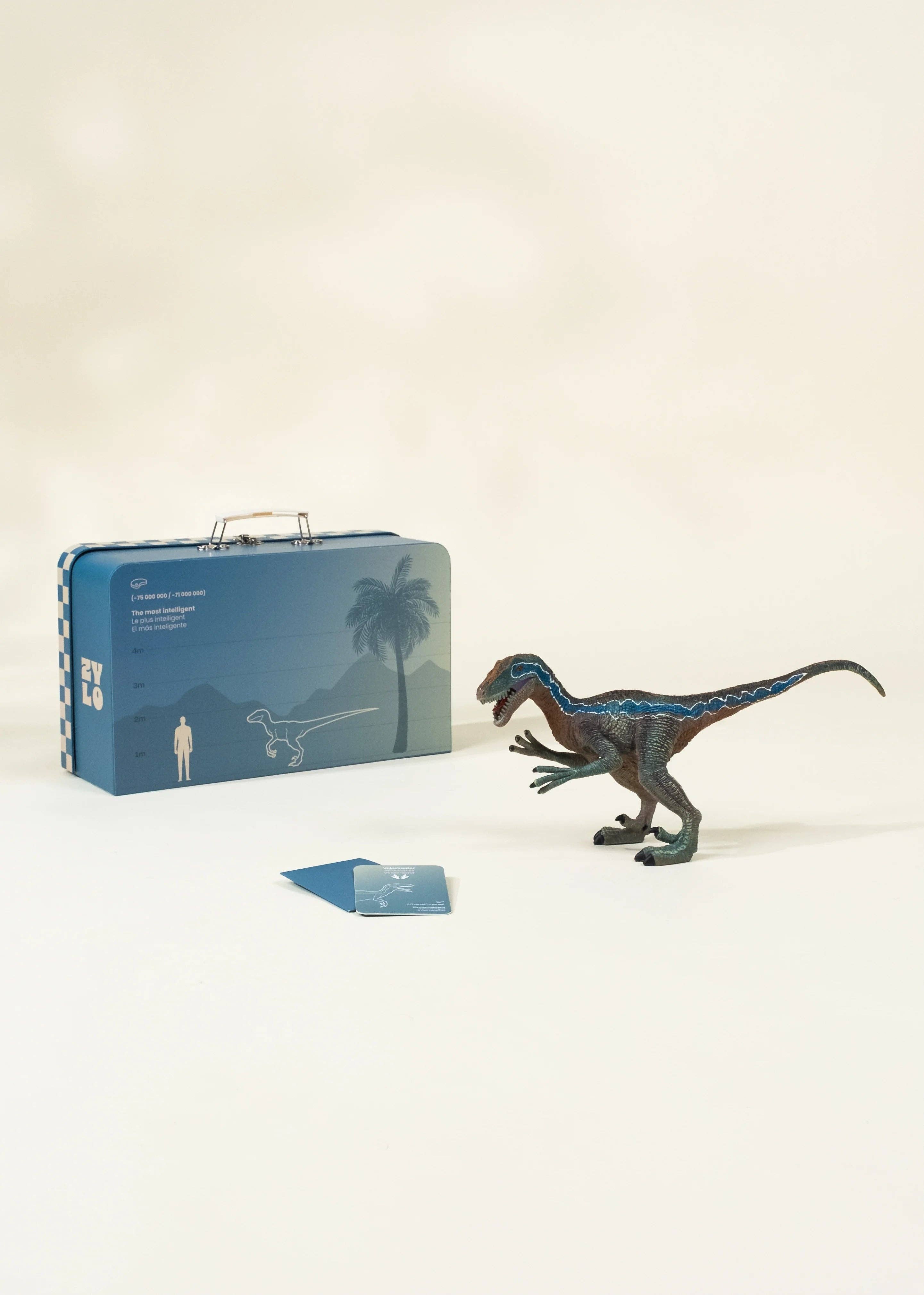 Velociraptor Dinosaur in a Collectible Box by Coco Village ZYLO