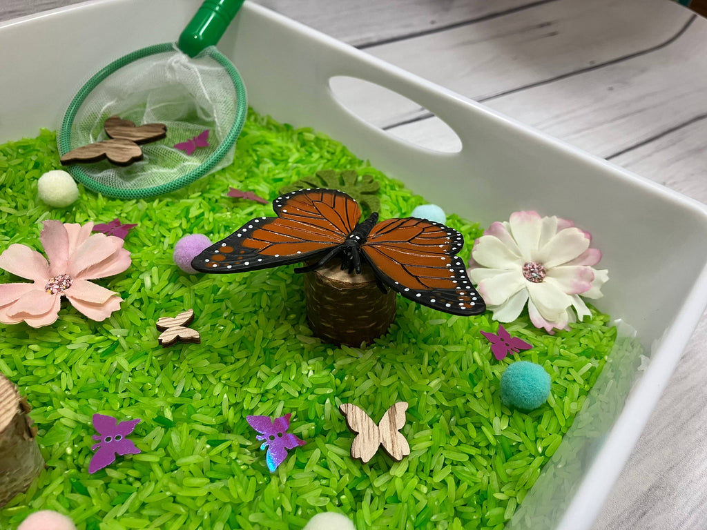 Butterfly Life Cycle Sensory Bin, Sensory Bins for Kids