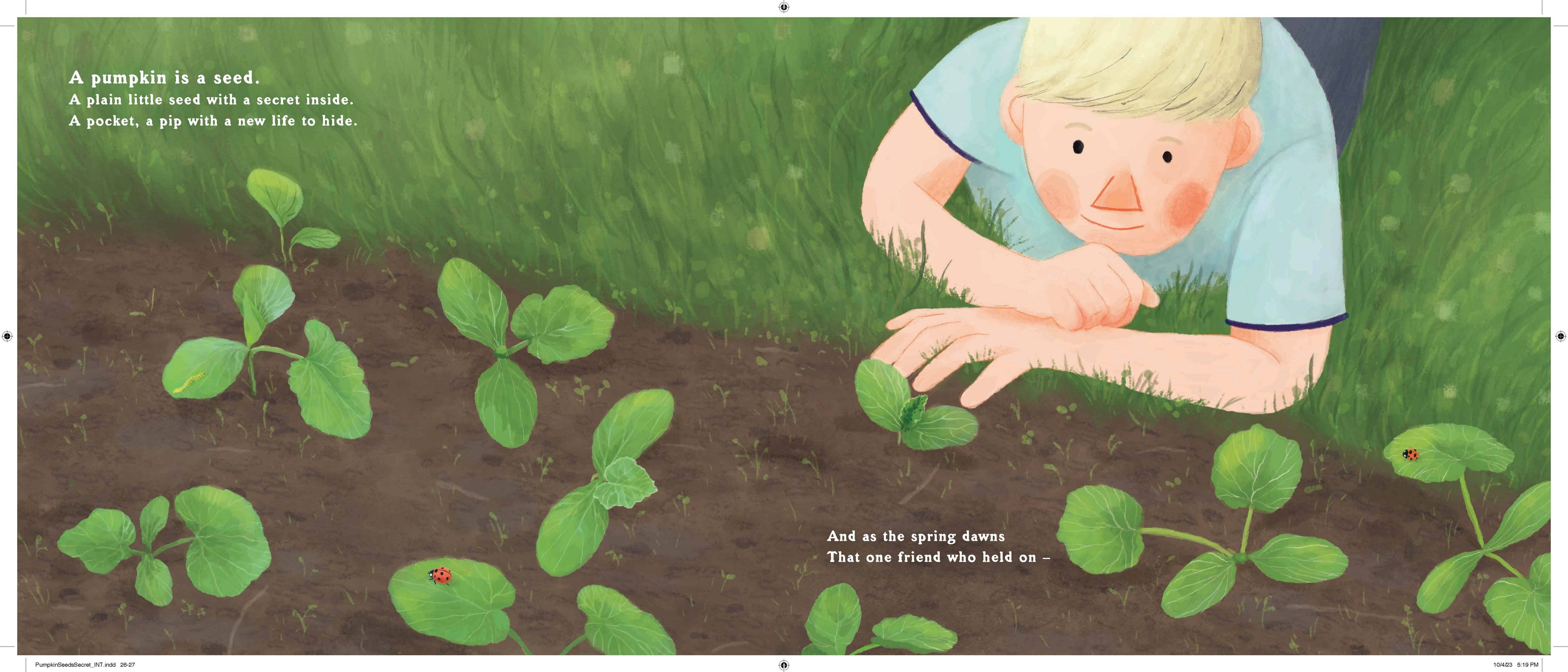 Pumpkin Seed's Secret